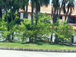 Cluny Road (D10), Detached #460731391